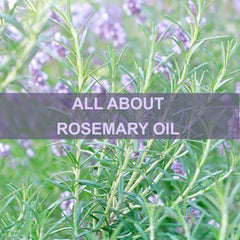 All About Rosemary Oil