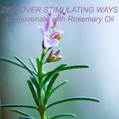 Rosemary Essential Oil - Recipes, Uses & Benefits - Essentially You Oils - Ottawa Ontario Canada