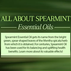 All About Spearmint Oil