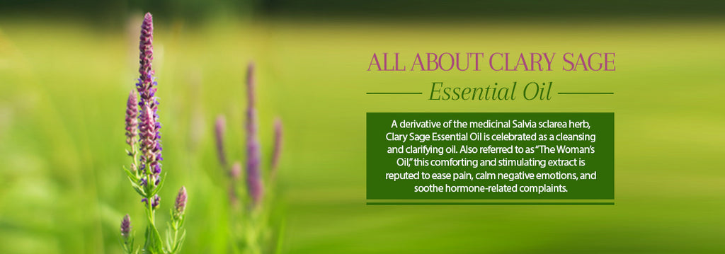 Clary Sage Essential Oil - Uses & Benefits - Essentially You Oils - Ottawa