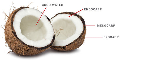 Coconut Parts
