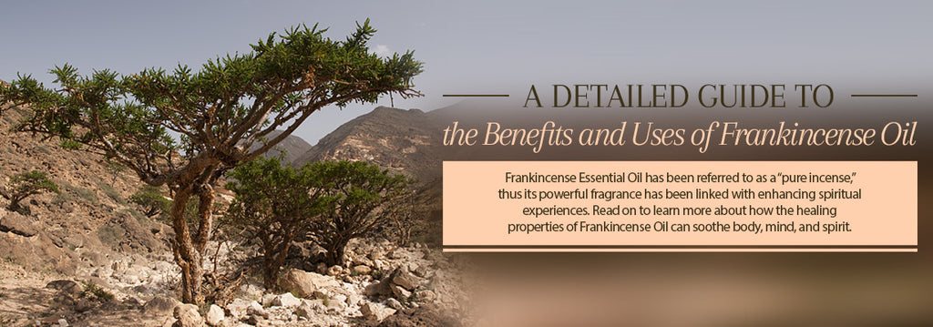 Frankincense Essential Oil - Uses & Benefits - Essentially You Oils - Ottawa