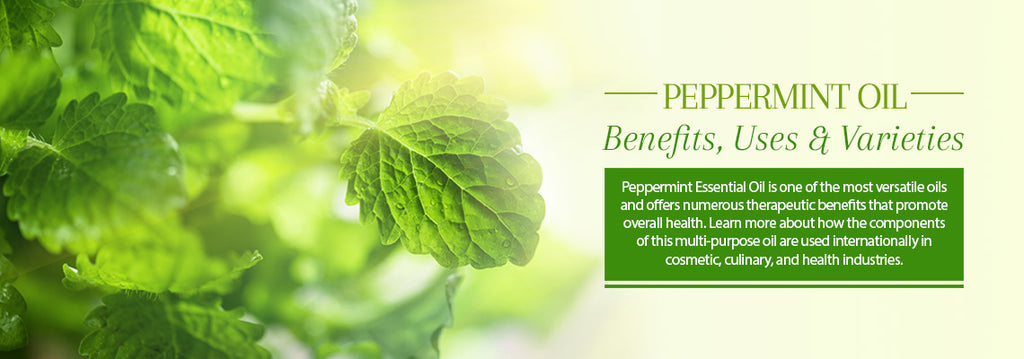 Peppermint Uses & Benefits