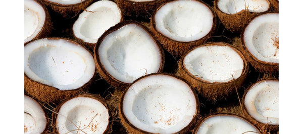 Can I Use Coconut Oil As a Lubricant? - Good Clean
