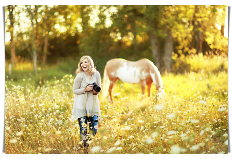 equine photography