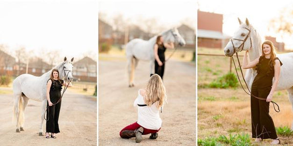 equestrian photography mentoring