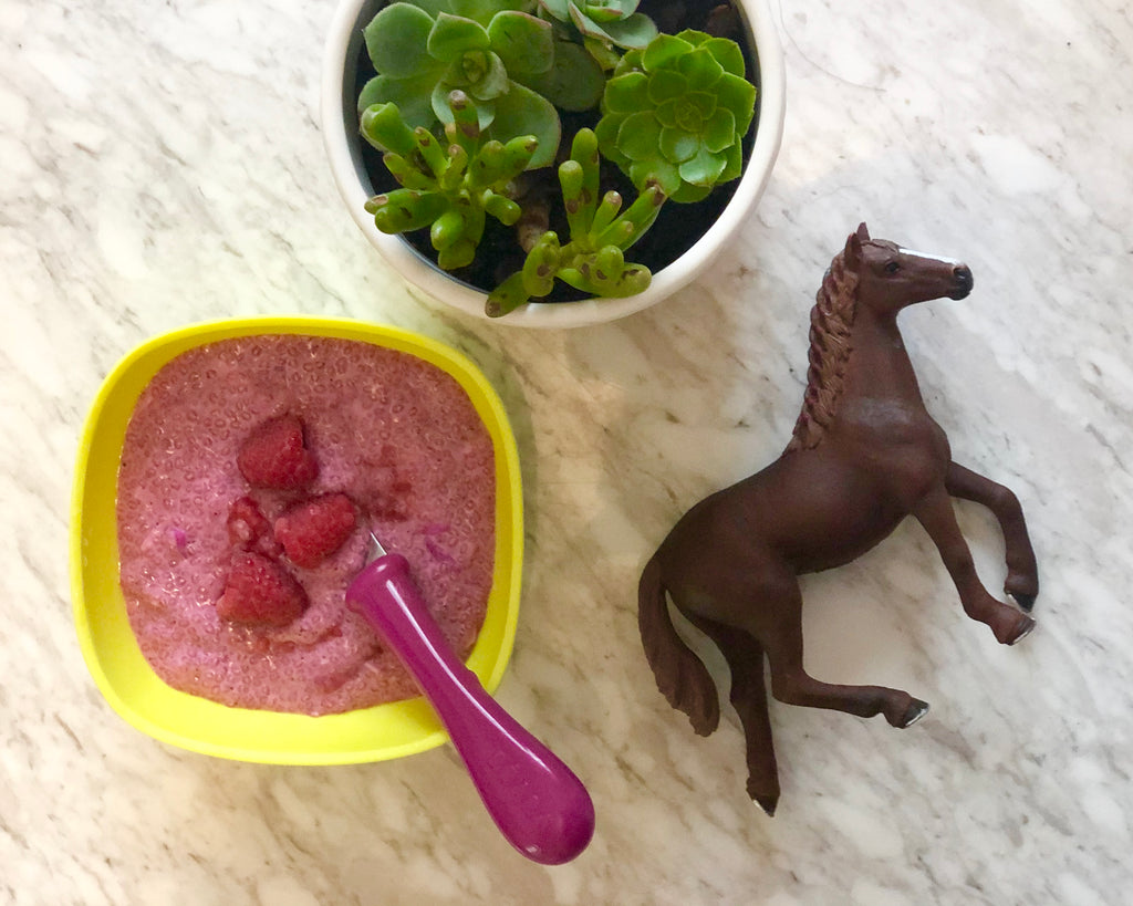 Chia Berry Pudding