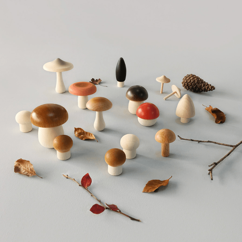 Forest Mushrooms in a Box
