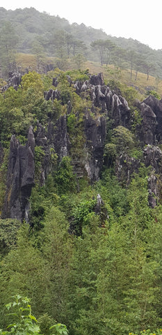 Hanging Coffins - Sagada