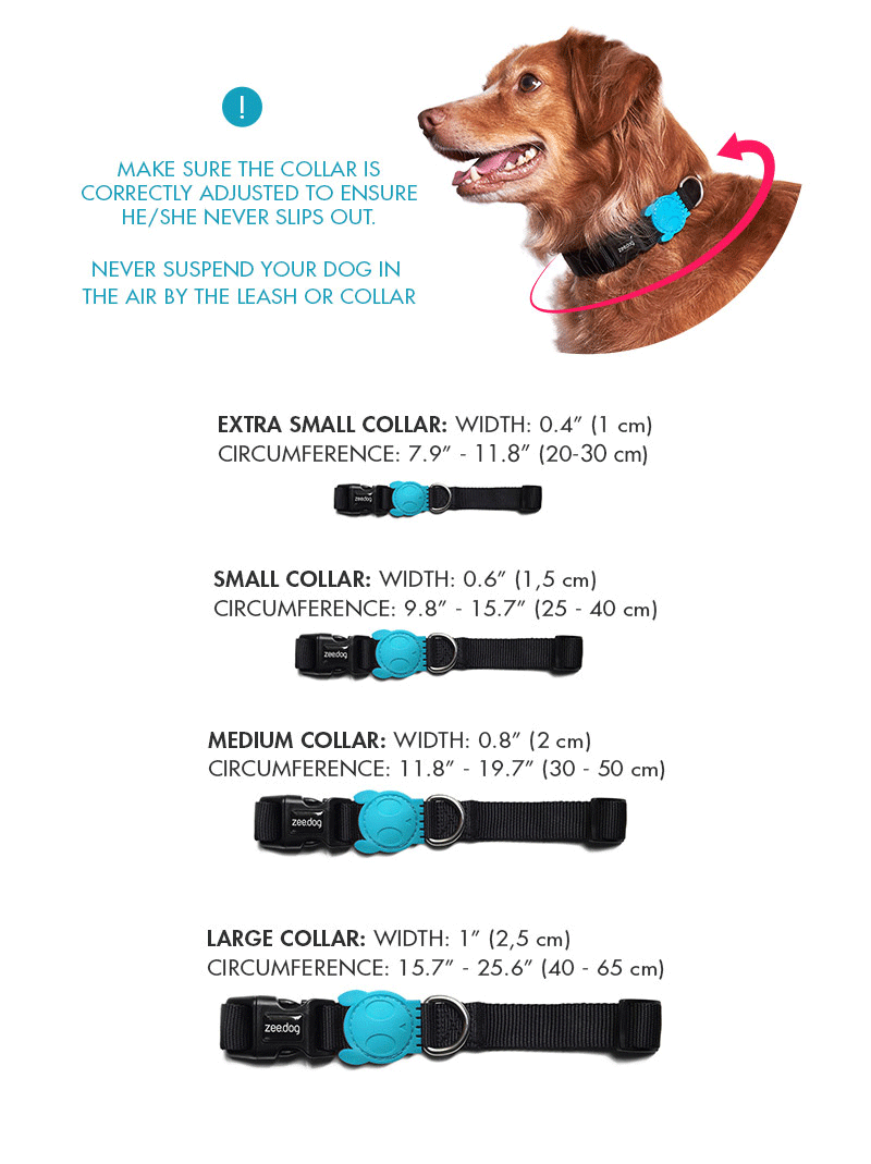 chewy dog collars