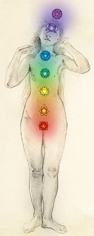 Position of the seven chakras on the human body