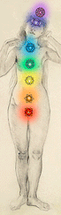 Position of the seven chakras on the human body
