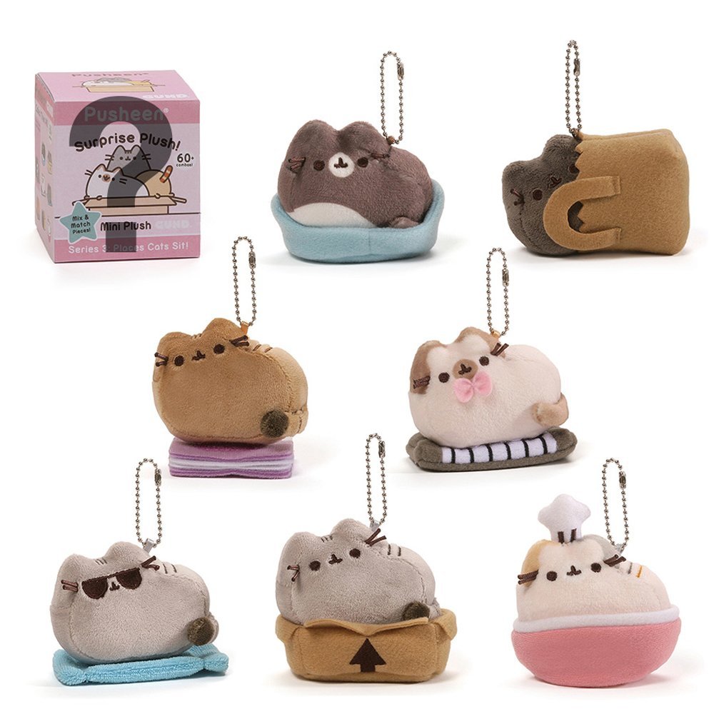 pusheen places cats sit