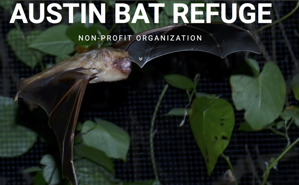 Austin Bat Refuge landing page image