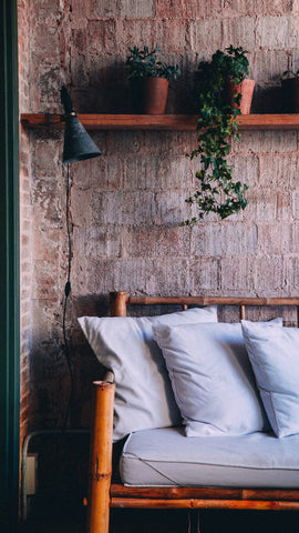 Sofa, Shelf and Plants in Indoor Planters in the Corner of a Living Room