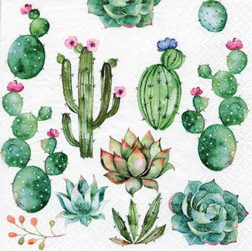 Tovagliolo fantasia 33 x 33 cm Cactus 3 veli