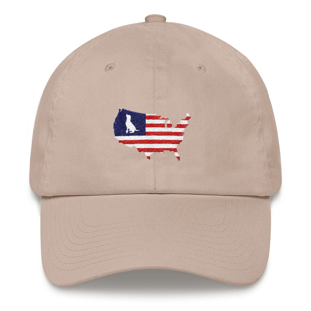 united states cap