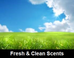 Fresh & Clean Scents