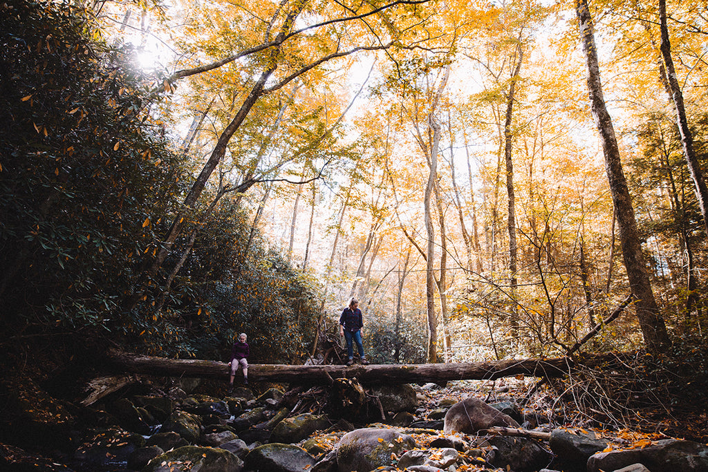 10 reasons to go hiking in the fall