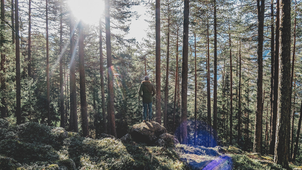 Merino Wool Socks are a top choice for hiking men and women everywhere.