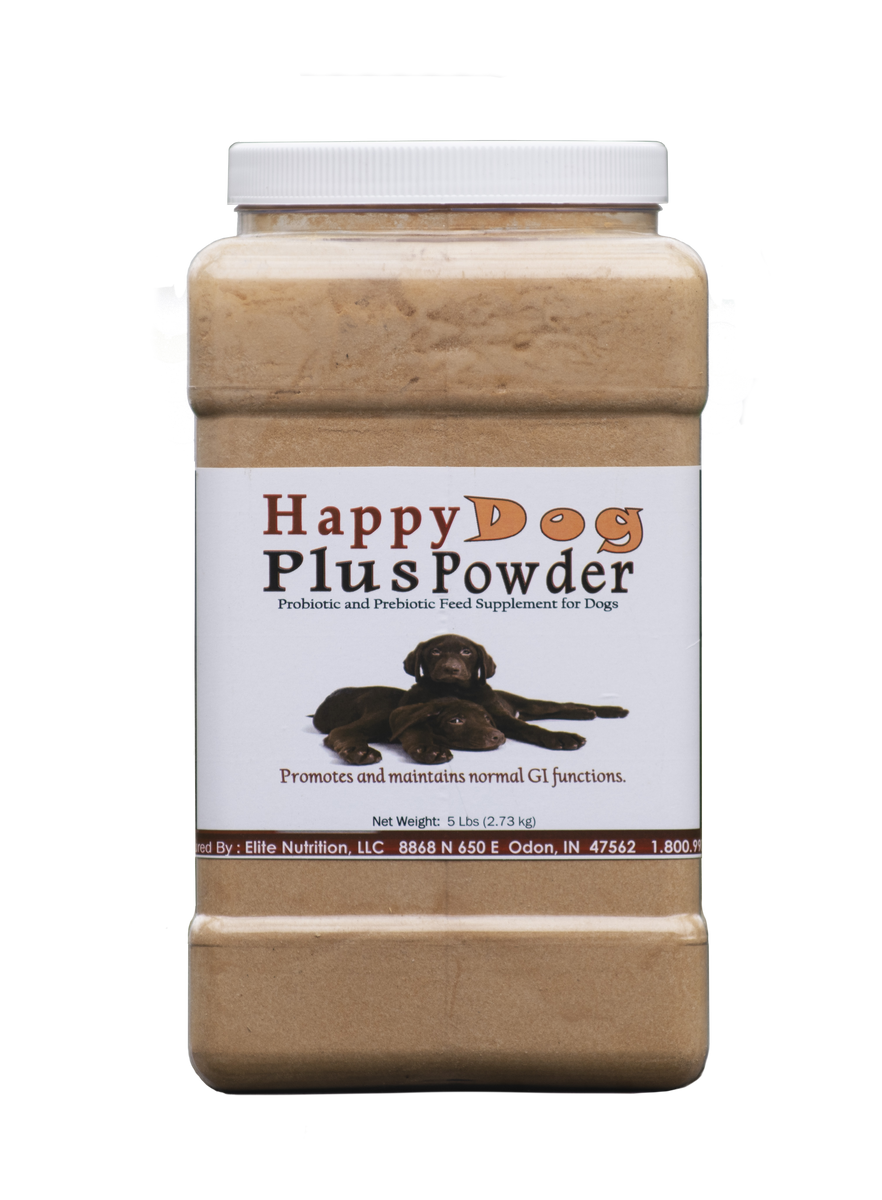 power plus happy dog