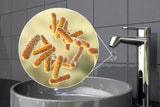 Treating E Coli in Municipal Drinking Water
