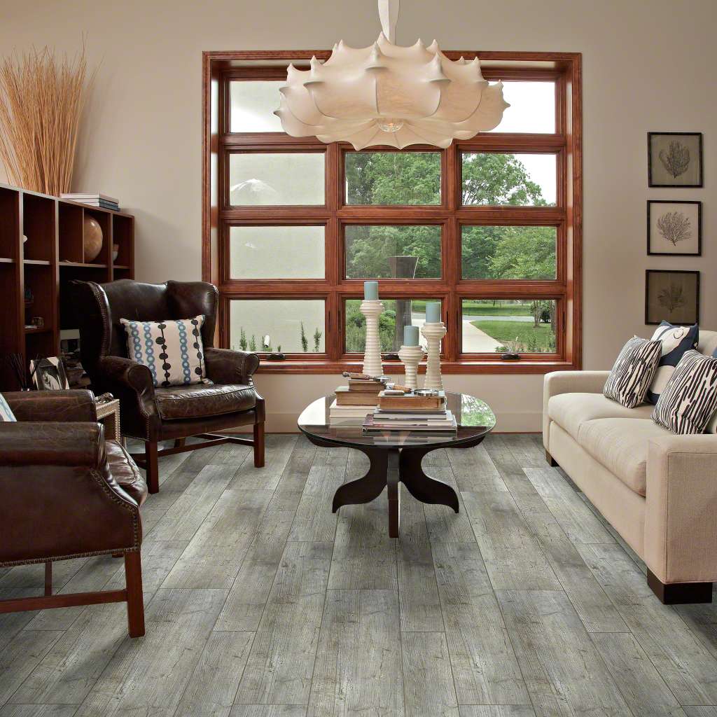 MV769 Distinct Pine