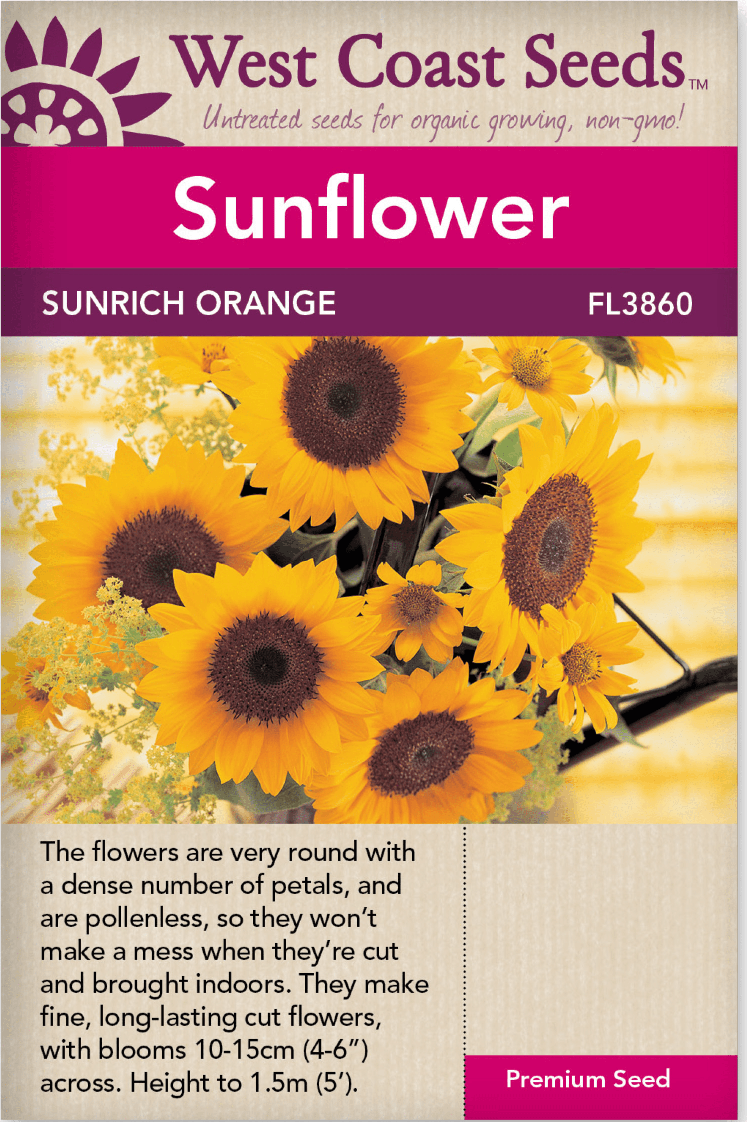 david sunflower seeds barcode