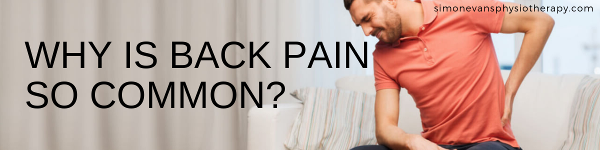 Why is back pain so common simon evans physiotherapy solihull