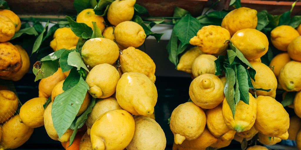 special lemons of campania