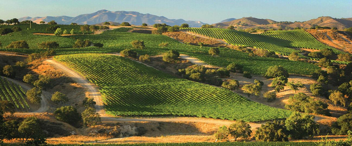 santa barbara wine country making its way