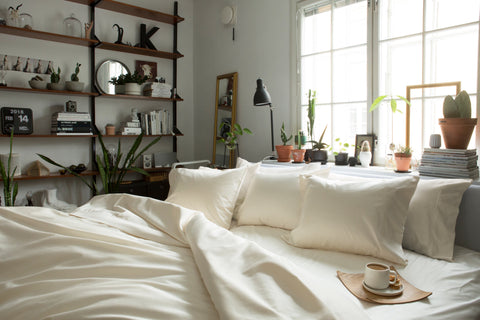 Beige bedding setting in plant natural lit room 