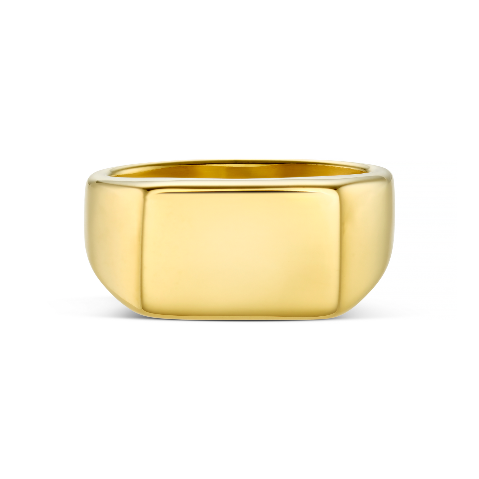 Copy of Chunky Signet Ring - Gold S/M - TEST