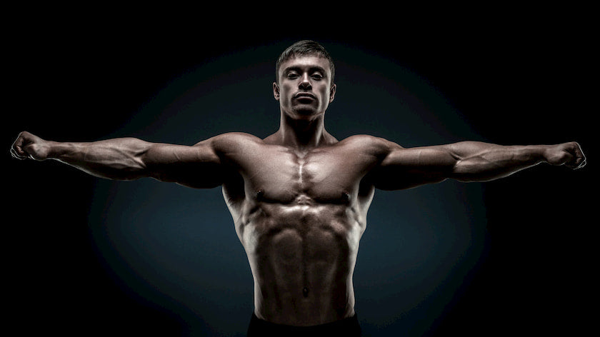 The Science of Muscle Growth - Onto Orthopedics