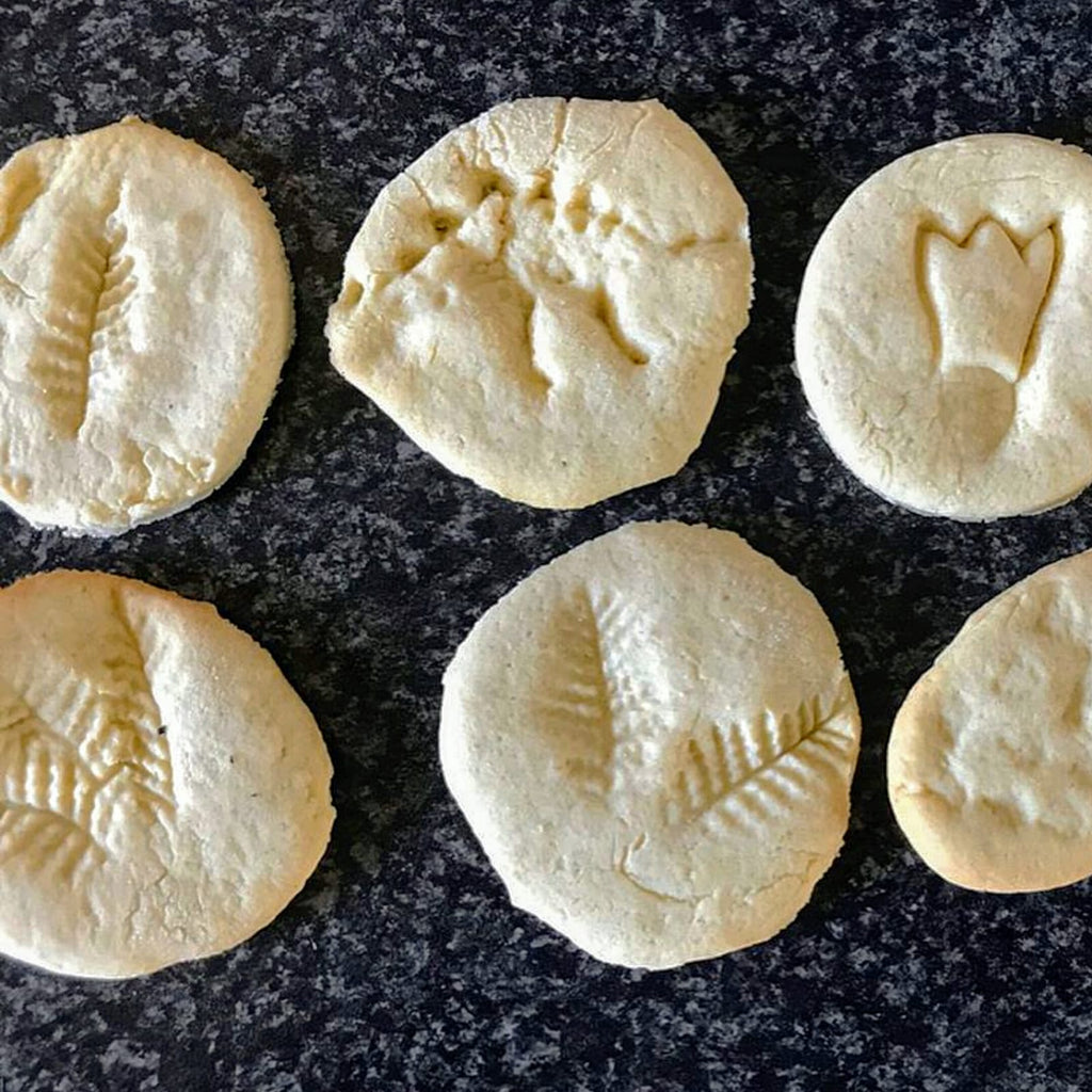 Fossil Biscuits