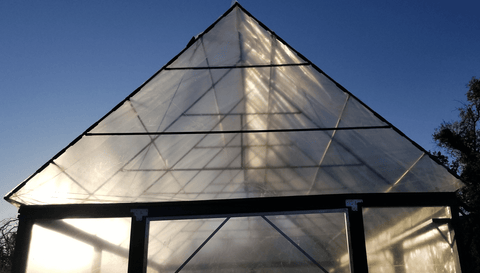 Plastic roof on the greenhouse