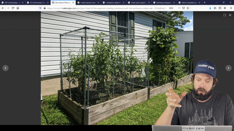 Tomato plant enclosure