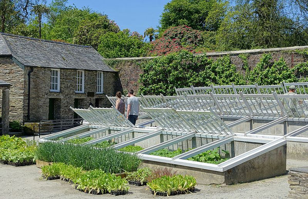 cold frame gardening maker pipe