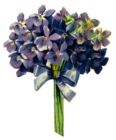 Victorian Bouquet of Violets Tied with a Blue Ribbon