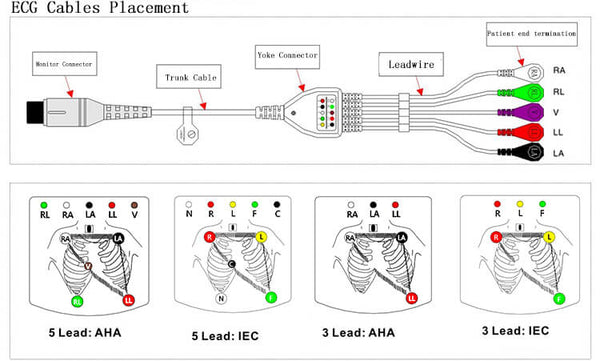 ECG Cable Placement