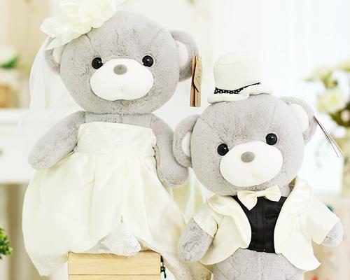 cute couple teddy bear