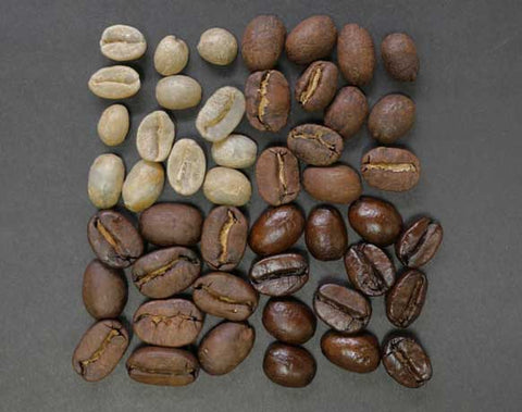 Kahve Çekirdeği çeşitleri