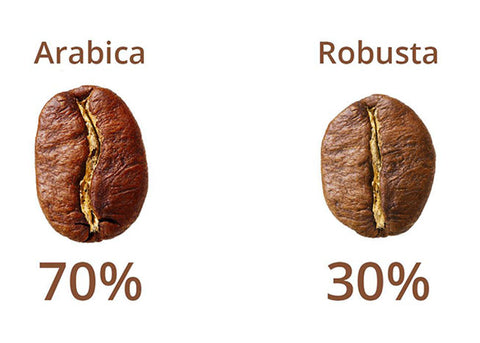 arabica vs robusta