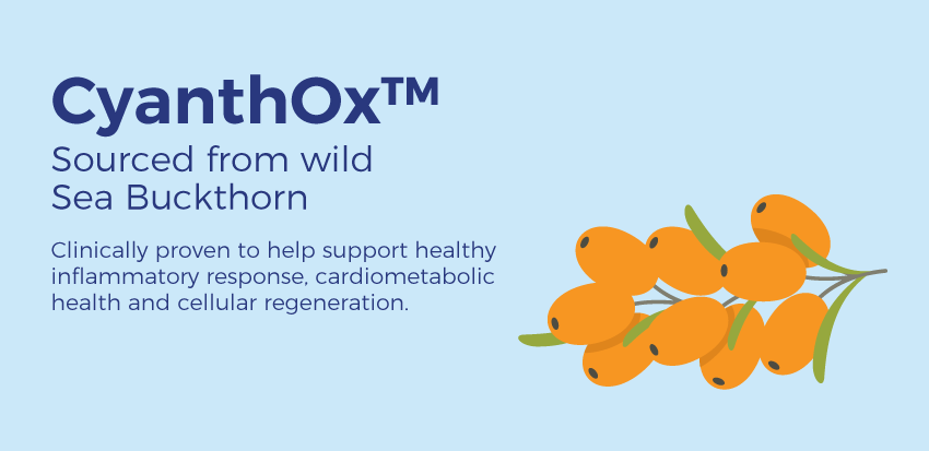 Cyanthox is an ingredient in CX8 - cardio support