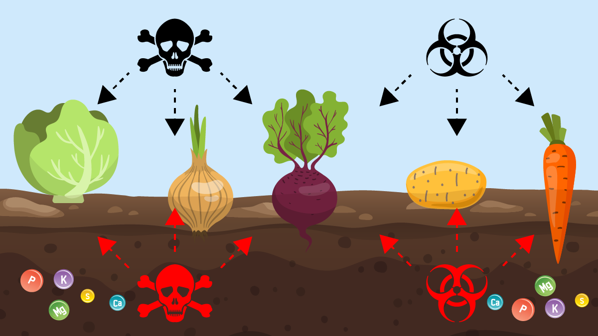 Foods are missing nutrients because these aren't in the soil, and they have unwanted pesticides and other residues.