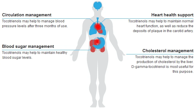 tocotrienols benefits, benefits of tocotrienols, health benefits of tocotrienols