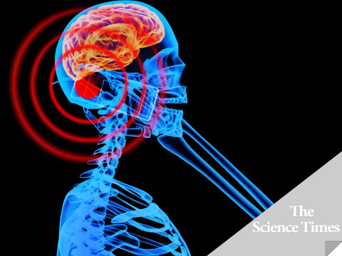 Science Times Article Mobile Phones Causing Brain Tumor - Italian Court Rules