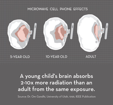 A child's brain absorbs more cell phone radiation than an adult