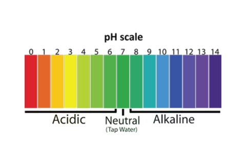 Bright Body pH Scale Healthy Hair Scalp Skin