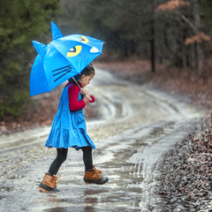 Pete the Cat Umbrella